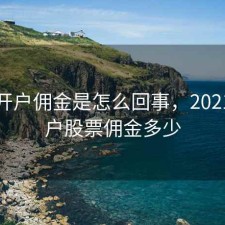 股票开户佣金是怎么回事，2021新开户股票佣金多少