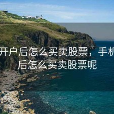 手机开户后怎么买卖股票，手机开户后怎么买卖股票呢