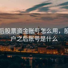 开户后股票资金账号怎么用，股票开户之后账号是什么