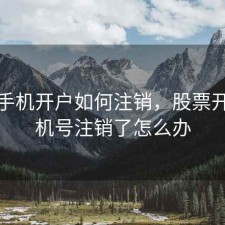 股票手机开户如何注销，股票开户手机号注销了怎么办