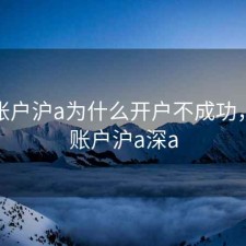 股票账户沪a为什么开户不成功，证券账户沪a深a