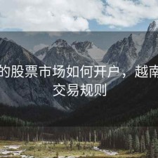 越南的股票市场如何开户，越南股票交易规则