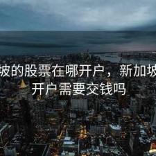 新加坡的股票在哪开户，新加坡股票开户需要交钱吗