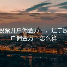 辽宁股票开户佣金万一，辽宁股票开户佣金万一怎么算