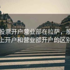 网上股票开户营业部在拉萨，股票网上开户和营业部开户的区别