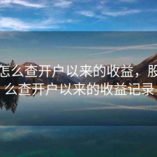 股票怎么查开户以来的收益，股票怎么查开户以来的收益记录