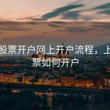 上海股票开户网上开户流程，上海股票如何开户