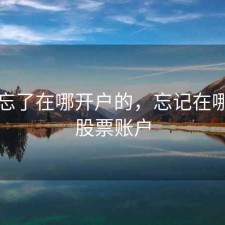 股票忘了在哪开户的，忘记在哪开的股票账户