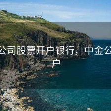 中金公司股票开户银行，中金公司 开户