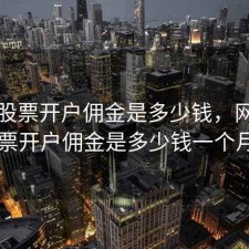 网上股票开户佣金是多少钱，网上股票开户佣金是多少钱一个月