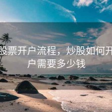炒股 股票开户流程，炒股如何开户 开户需要多少钱