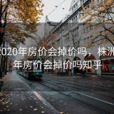 株洲2020年房价会掉价吗，株洲2020年房价会掉价吗知乎