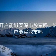 上海开户能够买深市股票吗，沪市开户能买深市吗