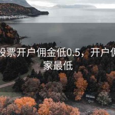 哪家股票开户佣金低0.5，开户佣金哪家最低