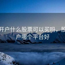股票开户什么股票可以买吗，股票开户哪个平台好