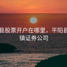 平阳县股票开户在哪里，平阳县水头镇证券公司