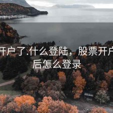 股票开户了.什么登陆，股票开户成功后怎么登录