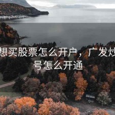 广发想买股票怎么开户，广发炒股账号怎么开通
