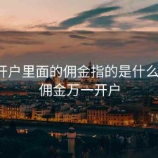 股票开户里面的佣金指的是什么意思，佣金万一开户