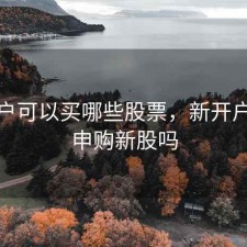 新开户可以买哪些股票，新开户可以申购新股吗