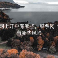 股票网上开户有哪些，股票网上开户有哪些风险
