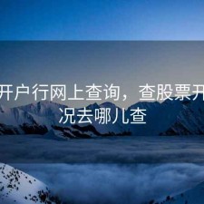 股票开户行网上查询，查股票开户情况去哪儿查