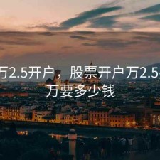 股票万2.5开户，股票开户万2.5买入1万要多少钱