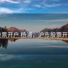 股票开户 杨浦，沪市股票开户