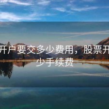 股票开户要交多少费用，股票开户多少手续费