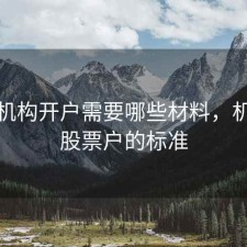 股票机构开户需要哪些材料，机构开股票户的标准