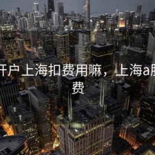 股票开户上海扣费用嘛，上海a股开户费