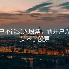 新开户不能买入股票，新开户为什么买不了股票
