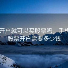 手机开户就可以买股票吗，手机开户股票开户需要多少钱