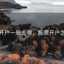 股票开户一般去哪，股票开户怎么开
