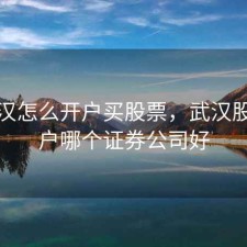 在武汉怎么开户买股票，武汉股票开户哪个证券公司好