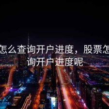 股票怎么查询开户进度，股票怎么查询开户进度呢