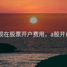 2015现在股票开户费用，a股开户费用