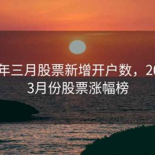 2020年三月股票新增开户数，2020年3月份股票涨幅榜