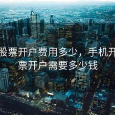 手机股票开户费用多少，手机开户股票开户需要多少钱