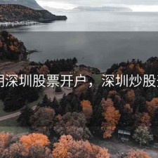 早期深圳股票开户，深圳炒股开户
