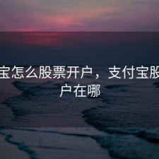 支付宝怎么股票开户，支付宝股票开户在哪