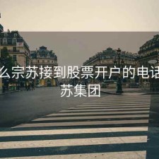 为什么宗苏接到股票开户的电话，宗苏集团