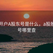 股票开户A股东号是什么，a股股东户号哪里查