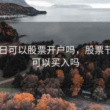 节假日可以股票开户吗，股票节假日可以买入吗