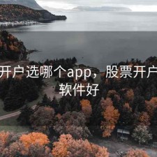 股票开户选哪个app，股票开户什么软件好