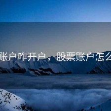 股票账户咋开户，股票账户怎么开户