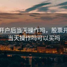 股票开户后当天操作吗，股票开户后当天操作吗可以买吗