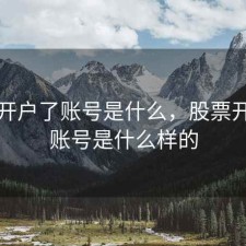 股票开户了账号是什么，股票开户了账号是什么样的