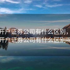 股票开户证券公司有什么区别，股票开户证券公司有什么区别呢