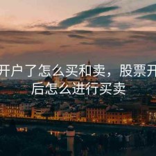 股票开户了怎么买和卖，股票开户之后怎么进行买卖